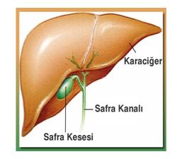 kapalı safra kesesi ameliyatı